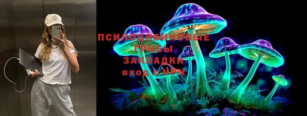 эйфоретик Алзамай